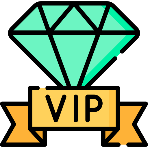 خدمات VIP